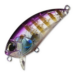 DUO Realis Crank 48