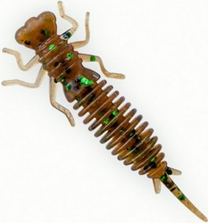 Fanatik Larva