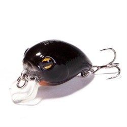 Renegade Beetle