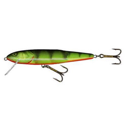Salmo Whitefish